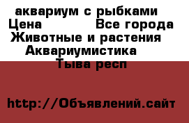 аквариум с рыбками › Цена ­ 1 000 - Все города Животные и растения » Аквариумистика   . Тыва респ.